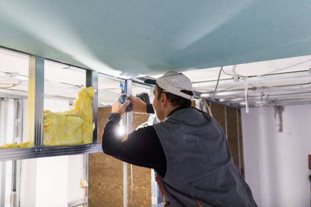 Best Specialized Insulation Services in Pine Ridge, SD