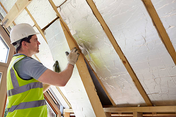 Best Commercial Insulation in Pine Ridge, SD